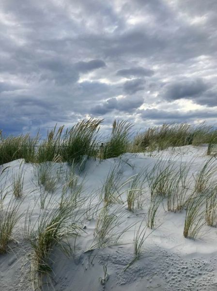 Nordeich / g_1_0_348483393_2867364110061823_7093619797750785839_n.jpg