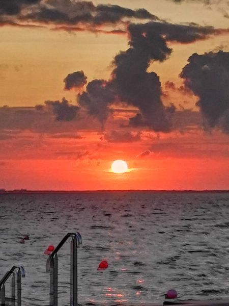 Nordeich / g_1_0_359838427_6408552649251502_8144918387975148022_n.jpg