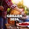 Juli - Perfekte Welle Radio Version